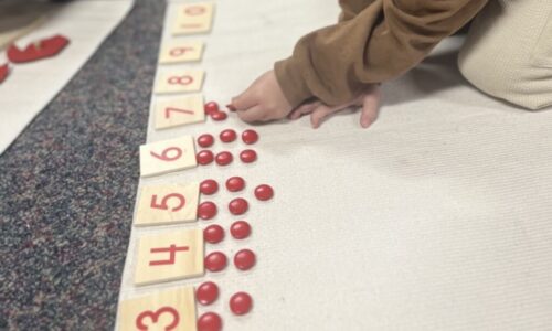 Montessori math materials arranged for learning